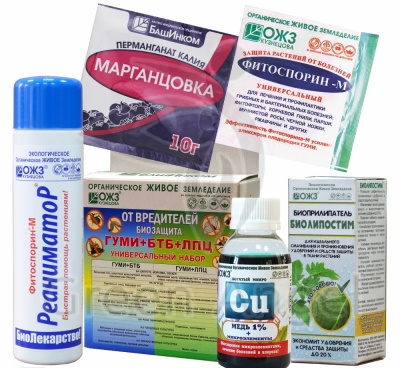 Набор БиоЗащита-Лечение, БашИнком 